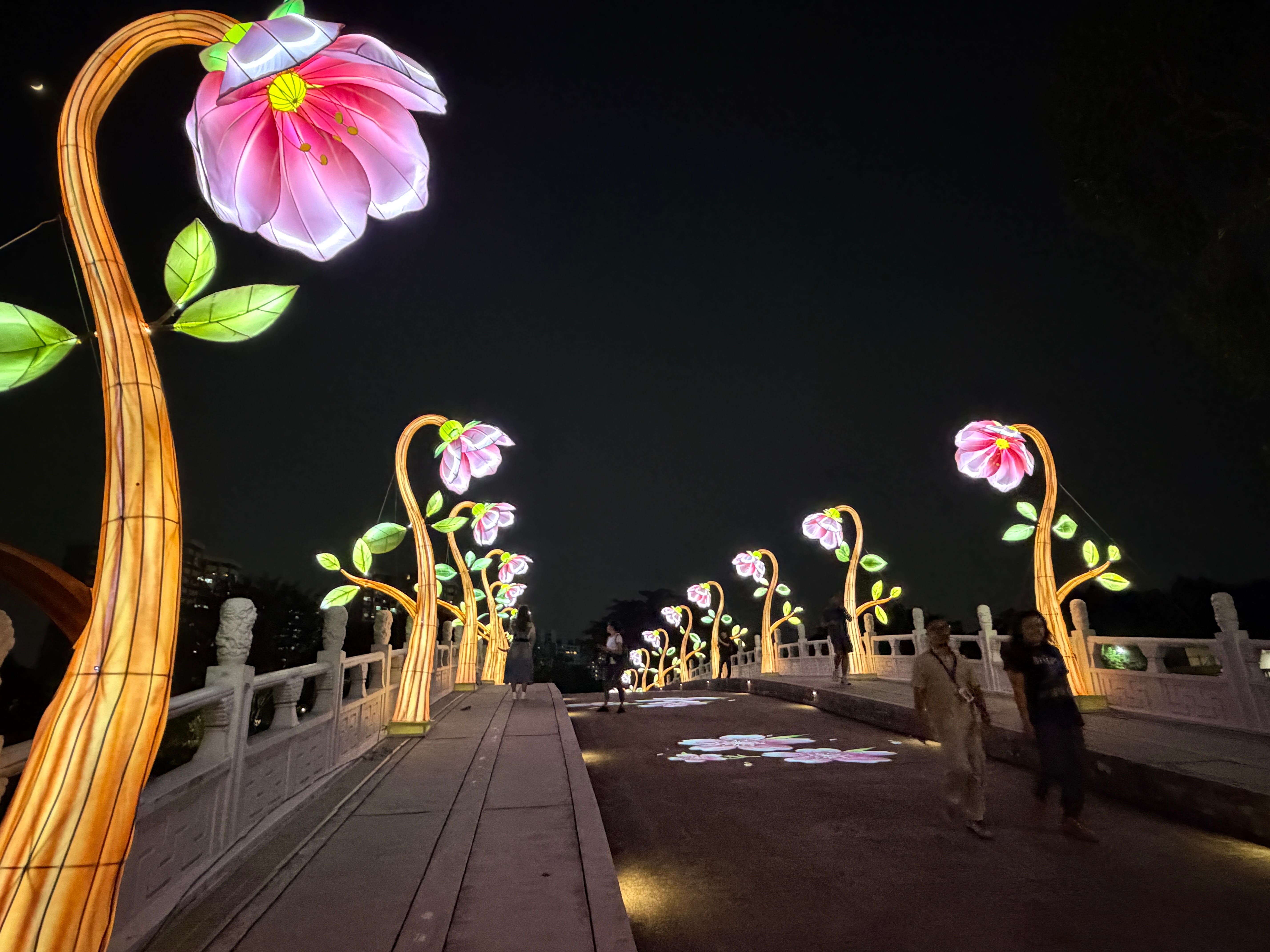 lantern displays of blossoms lining the sides of White Rainbow Bridge at Jurong Lake Gardens with flower illustration projections on the ground